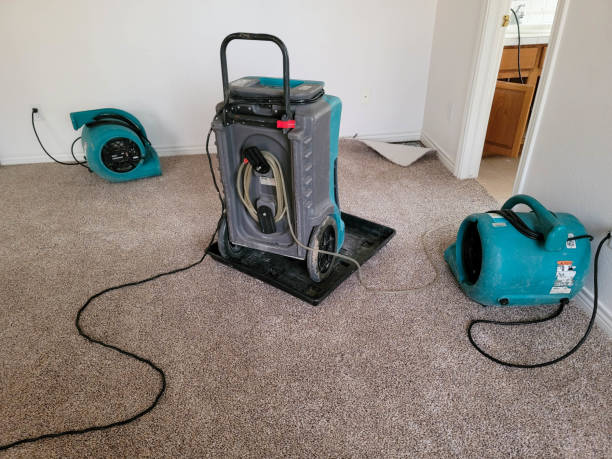 Best Local water damage restoration  in Neshanic Station, NJ