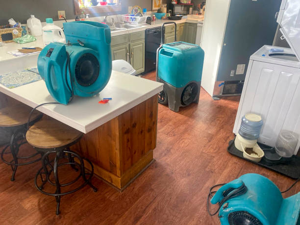 Best Carpet water damage restoration  in Neshanic Station, NJ