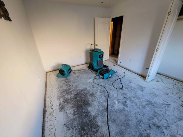 Best Carpet water damage restoration  in Neshanic Station, NJ