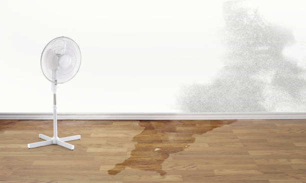 Best 24-hour water damage restoration  in Neshanic Station, NJ