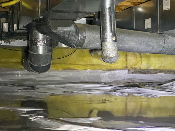 Best Water damage contractors near me  in Neshanic Station, NJ