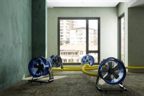 Water damage restoration insurance claims in NJ