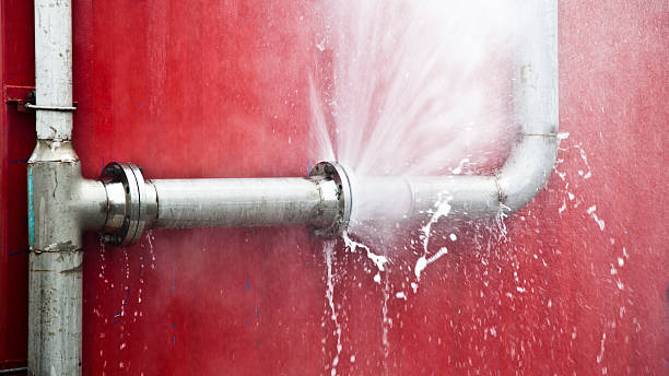 Best 24/7 water damage repair  in Neshanic Station, NJ