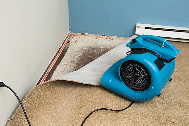Best Commercial water damage restoration  in Neshanic Station, NJ